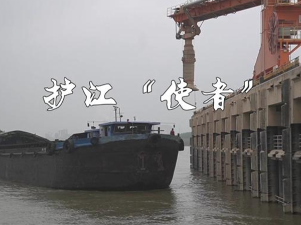 盼盼带您看长九之护江"使者"