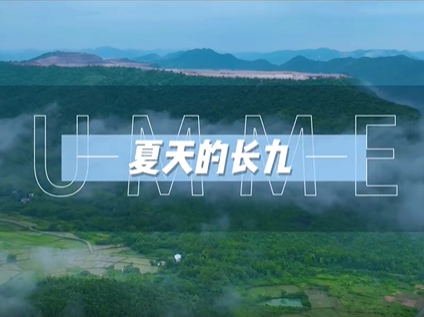 夏天的长九