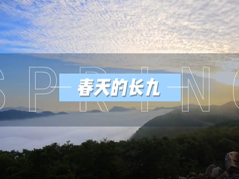 春天的长九