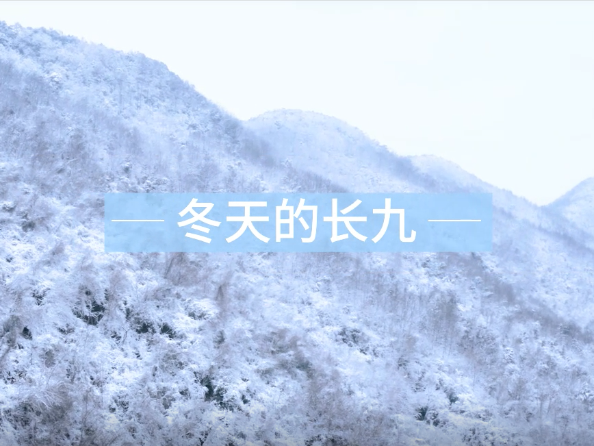 冬天的长九